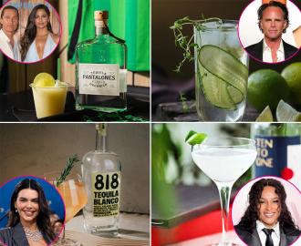 Stars Share Their Favorite Summer Cocktail Recipes With Us