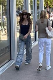 Denise Richards Spotted for 1st Time Amid Aaron Phypers Divorce