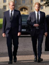 Prince William and Prince Harry’s Cousin’s Cause of Death Revealed: Reports