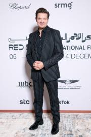 Jeremy Renner Makes Rare Comment About Coparenting With Ex Sonni Pacheco
