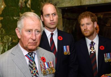 Prince Harry's Prince William Feud Is 'Different Beast' Than Rift With Dad