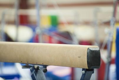 Gymnastics Coach Arrested on Child Porn Charge, Accused of Sexual Abuse