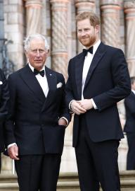 Expert Pinpoints the Moment Charles and Harry Reunion Became Less Likely