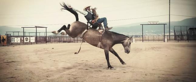Netflix's New 'Yellowstone'? This Hit 2025 Drama Has a 91 Percent on Rotten Tomatoes