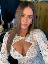 Sofia Vergara's Cleavage-Baring Dress Sparks Nip Slip Rumors