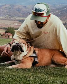 F1 Star Lewis Hamilton Mourns the Loss of His Dog Roscoe