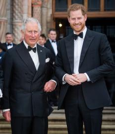 Inside the ‘Very Emotional’ Reunion Between Prince Harry and King Charles