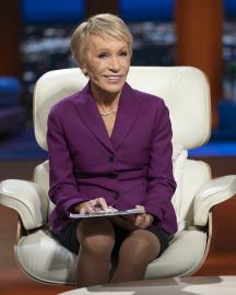 Barbara Corcoran Admits She 'Loves Facelifts' in Plastic Surgery Confession