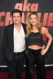Charlie Sheen and Denise Richards Reunite at Premiere After Divorce