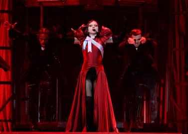 Lady Gaga Postpones Miami Concert 1 Hour Before Show Due to Health Issues