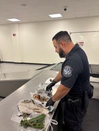Traveler Found With Skull, Human Remains at Tampa International Airport