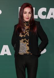 Priscilla Presley Recounts Son Navarone’s Near-Fatal Camel Attack