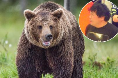 Beloved Professional Wrestling Referee Killed in Horrifying Bear Attack