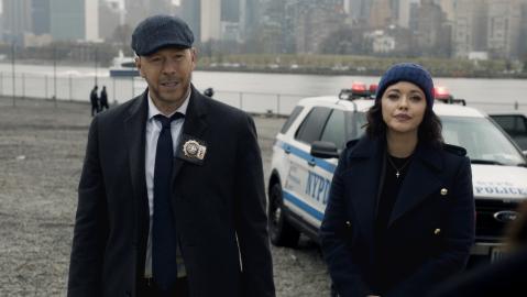 Blue Bloods' Danny Reagan and Baez’s Romance: Partners to 'Boston Blue' Lovers Blue Bloods' Danny Reagan and Baez’s Romance: Partners to 'Boston Blue' Lovers