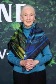 Jane Goodall's Cause of Death Revealed After Conservationist Died at Age 91