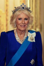 Queen Camilla's Duty, Style, Family and More: 7 Insights