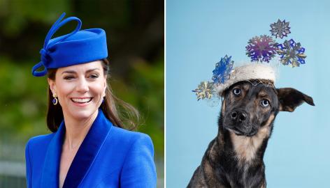Kate Middleton Milliner Releases Calendar of Dogs in Hats to Help Shelter Pets