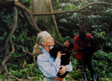 Jane Goodall Has Died at Age 91
