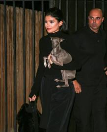 Kylie Jenner Mourns Beloved Italian Greyhound Norman’s Death: See Her Tribute Kylie Jenner Mourns Beloved Italian Greyhound Norman’s Death: See Her Tribute
