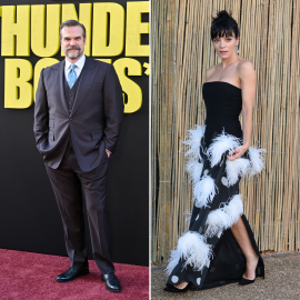 David Harbour Says He Still Wants Someone to 'Love' After Lily Allen Split