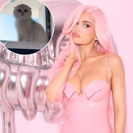 Kylie Jenner Reveals New Kitten Following the Death of Her Dog Norman